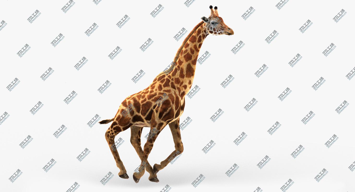 images/goods_img/202104022/Giraffe (2) (RIG) (FUR) 3D model/2.jpg